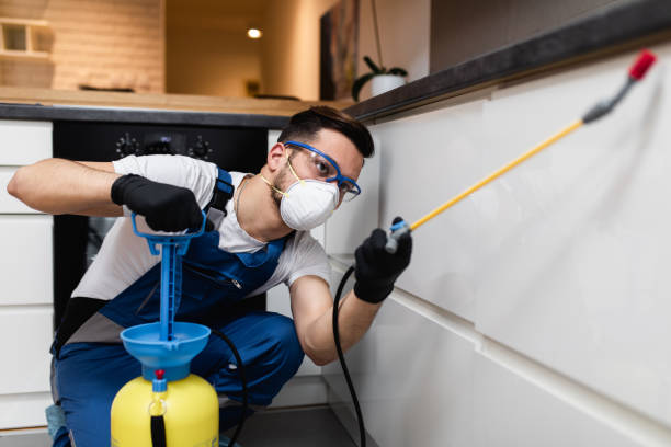 Pest Prevention Services in Sissonville, WV