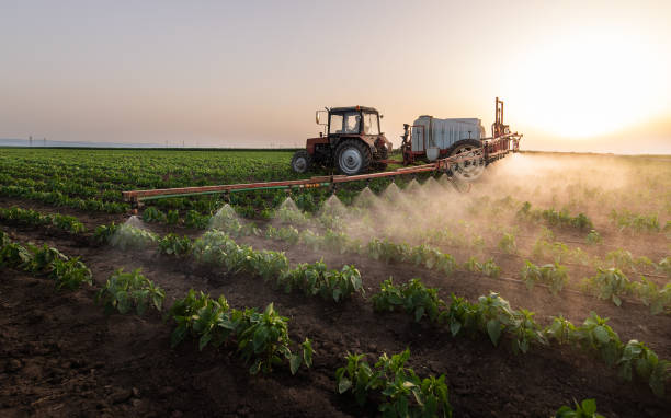 Best Mosquito Control Services  in Sissonville, WV