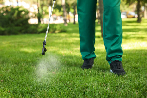 Best Flea Control Services  in Sissonville, WV