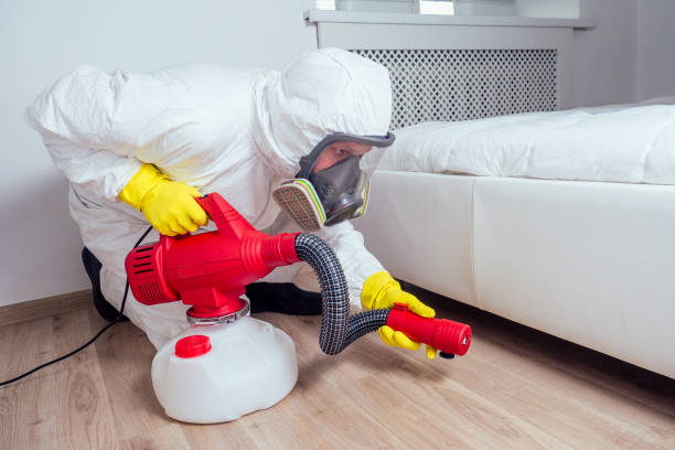 Best Ant Control Services  in Sissonville, WV