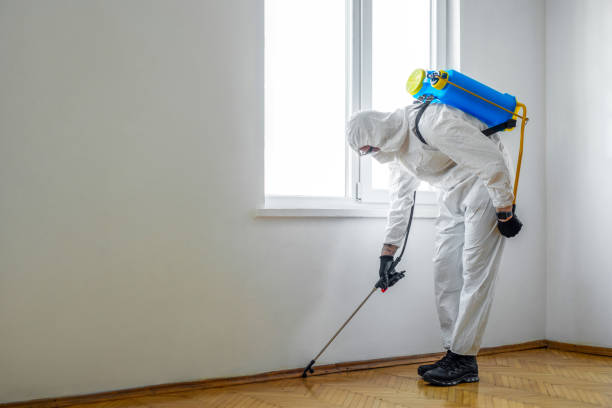 Best Best Pest Control Companies  in Sissonville, WV