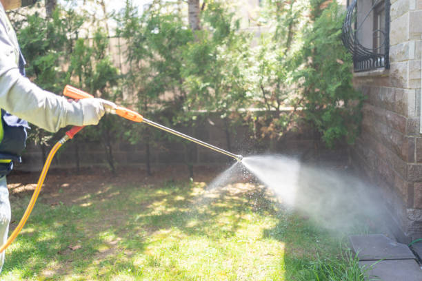 Best Best Pest Control Companies  in Sissonville, WV
