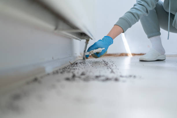 Best Pest Prevention Services  in Sissonville, WV