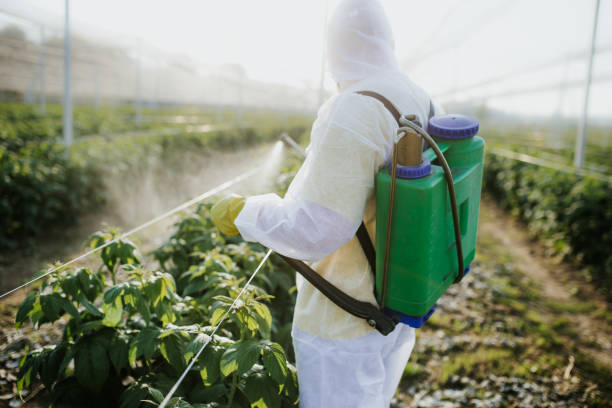 Reliable Sissonville, WV Pest Control Solutions